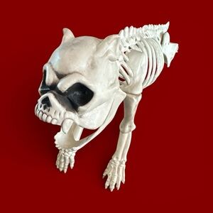 Skeleton Dog Missing Back Legs Halloween Decor Spooky Party Decoration Puppy